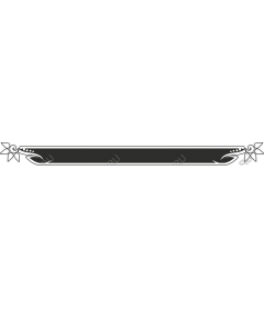  Elegant decorative frame