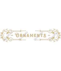  Elegant ornament