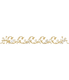  Elegant floral decorative border