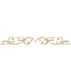  Elegant decorative border