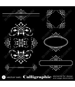  Elegant calligraphic set for decor