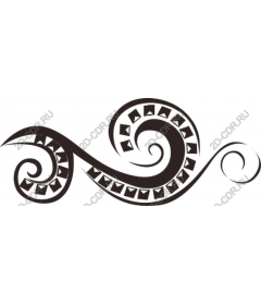  Elegant vortex