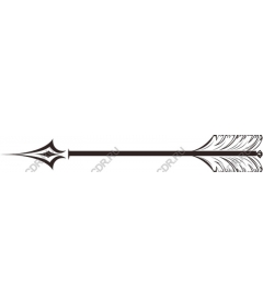  Elegant Arrow