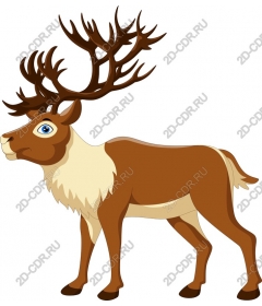  Charming deer