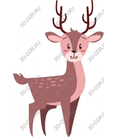  Cute deer