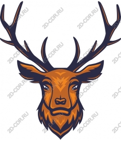 Majestic deer head