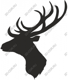 The majestic deer