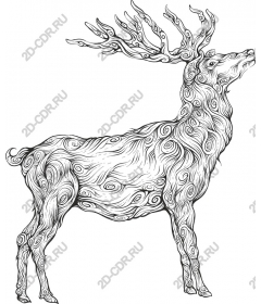 The majestic deer
