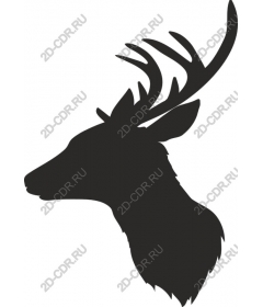 The majestic deer