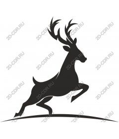  The Work Of A Jumping Deer