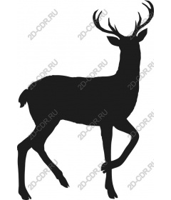 The majestic deer