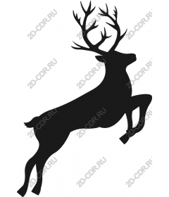 Majestic prancing reindeer