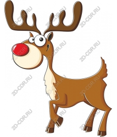  Fancy deer