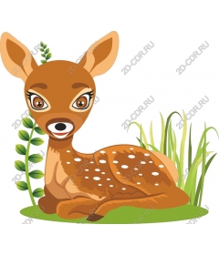  Adorable Fawn