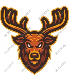  Ferocious deer head