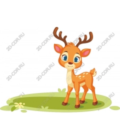  Charming young deer
