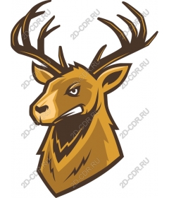  A bold deer head