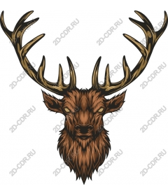 Majestic deer head
