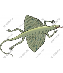 Winged lizard