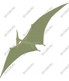  Pterosaur
