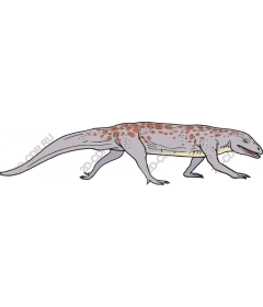 Prehistoric amphibian