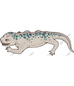  Bizarre amphibian