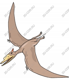  Pterosaur