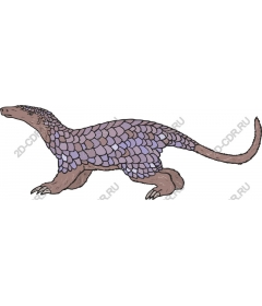  Pangolin and