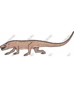 Prehistoric amphibian creature