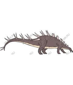  Stegosaurus