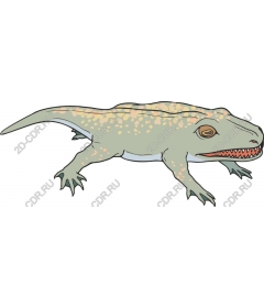 Prehistoric amphibian