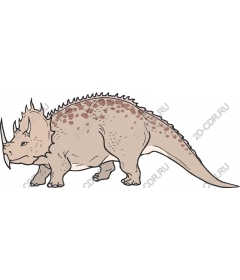  Triceratops