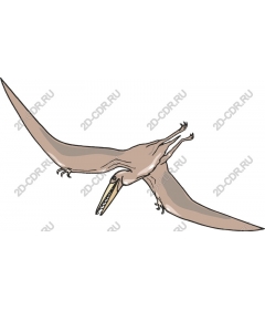  Pterosaur