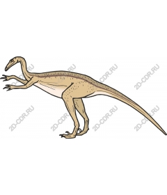  The Theropod Dinosaur