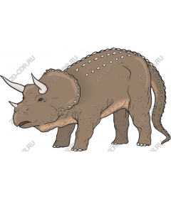  Triceratops