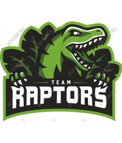 Team Raptors