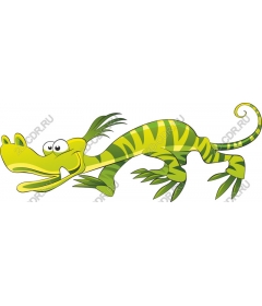  Cartoon Alligator