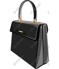  An elegant black handbag