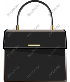  An elegant black handbag
