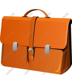  Elegant orange portfolio