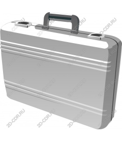  Elegant silver portfolio