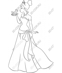 Whimsical Princess and the frog