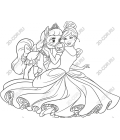  Fancy Princess and the pony