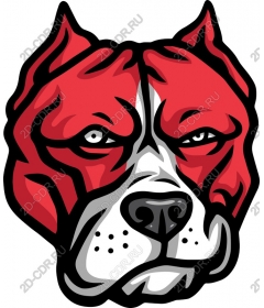  Fierce red head dogs
