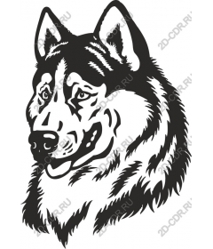Majestic Wolf