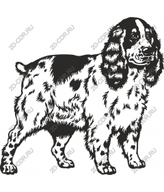  Charming dog breed Spaniel