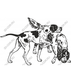 Playful dog