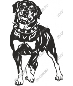  Rottweiler - fierce companion art