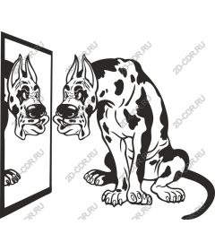 Reflective Dane