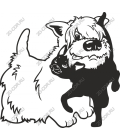  Charming Duo of dogs